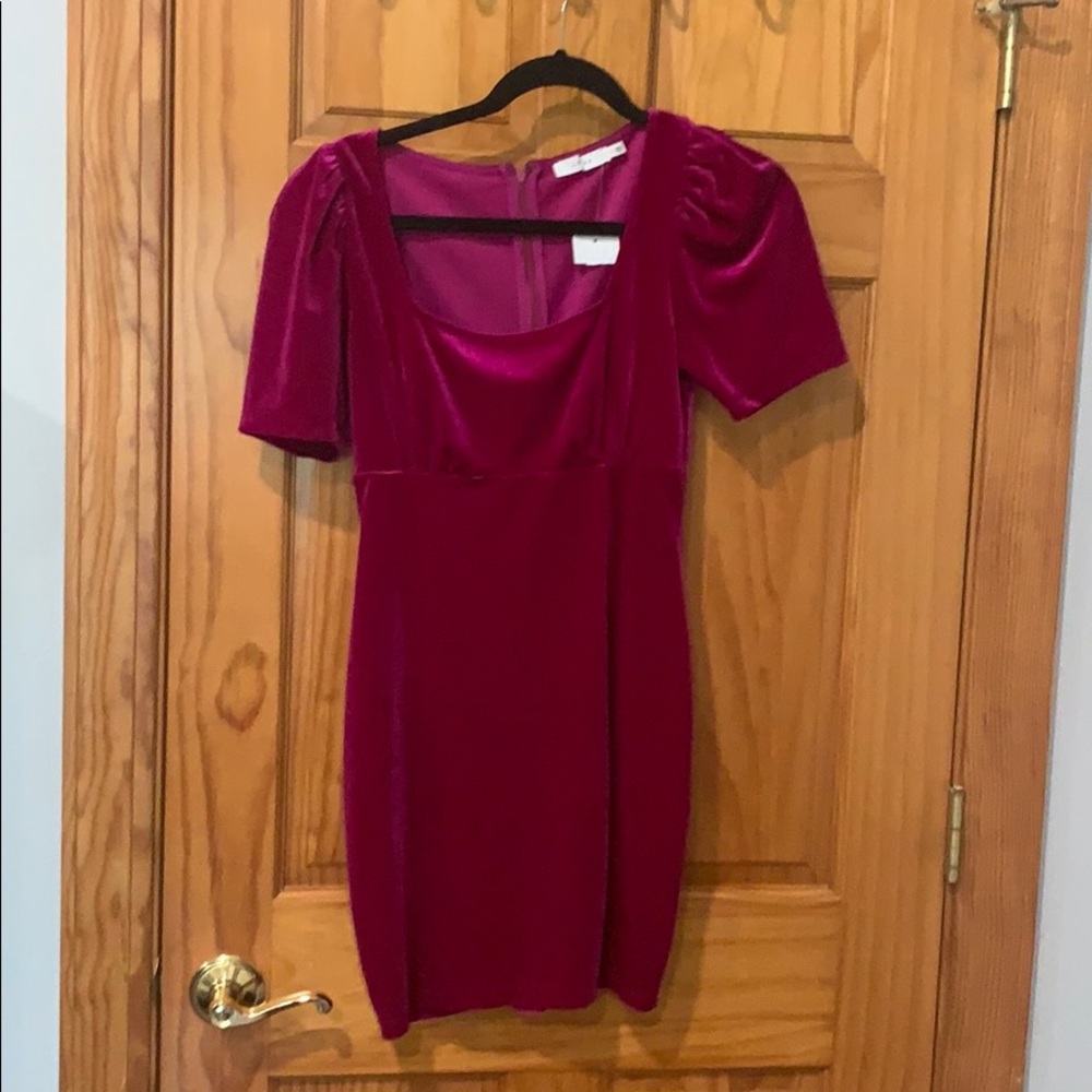 Magenta Velvet Dress